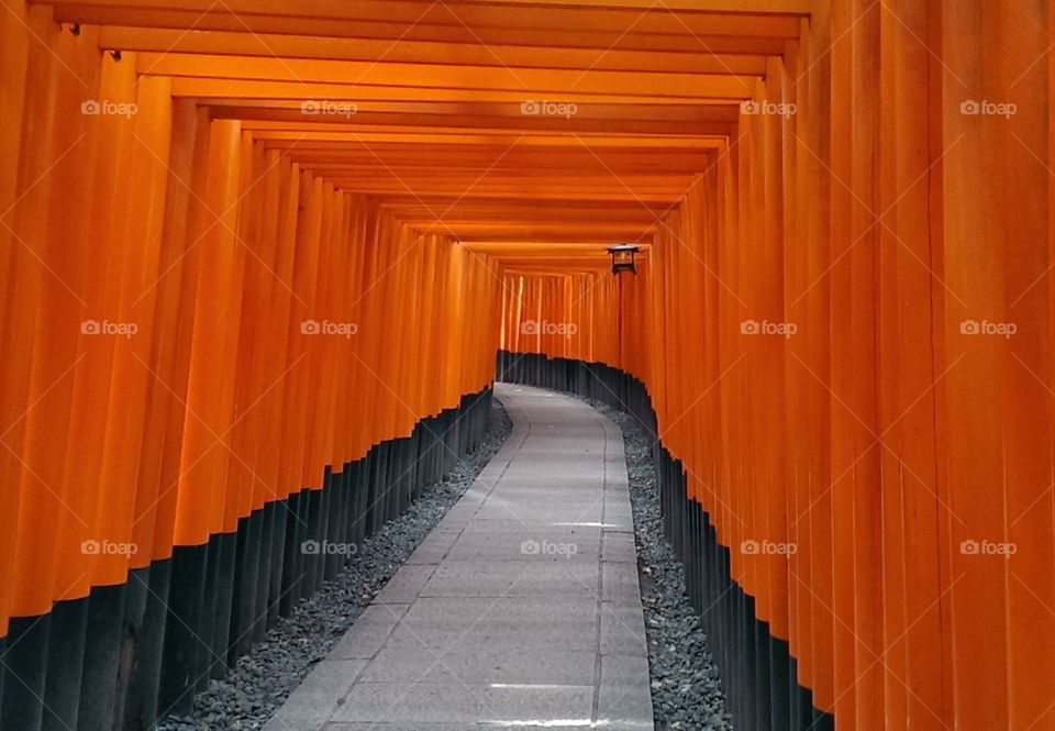 Doorway to heaven. at a temple in Kyoto, Japan
