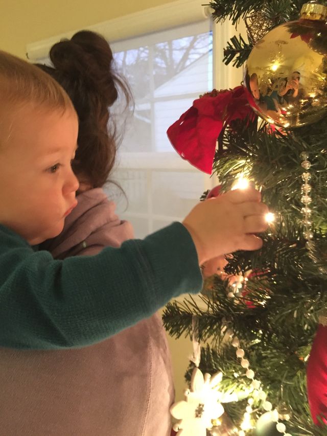 Christmas curiosity