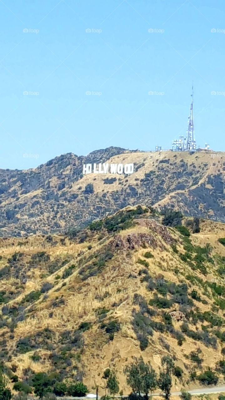 На горе надпись мечты многих в этом мире Голливуд