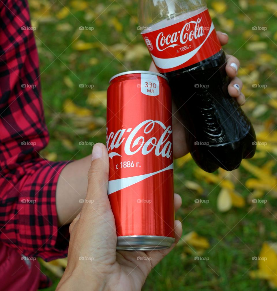 picnic in the park