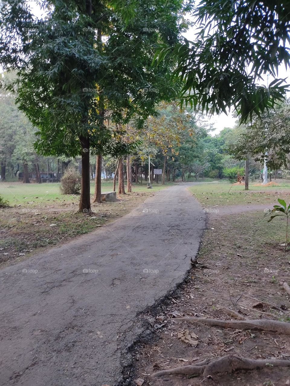 Old Road 👣👣👣👣