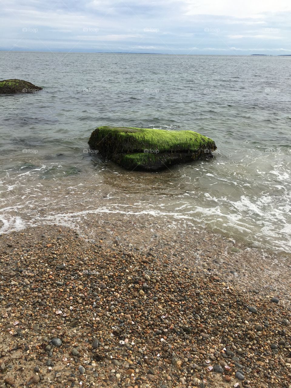 Mossy rock at the beach