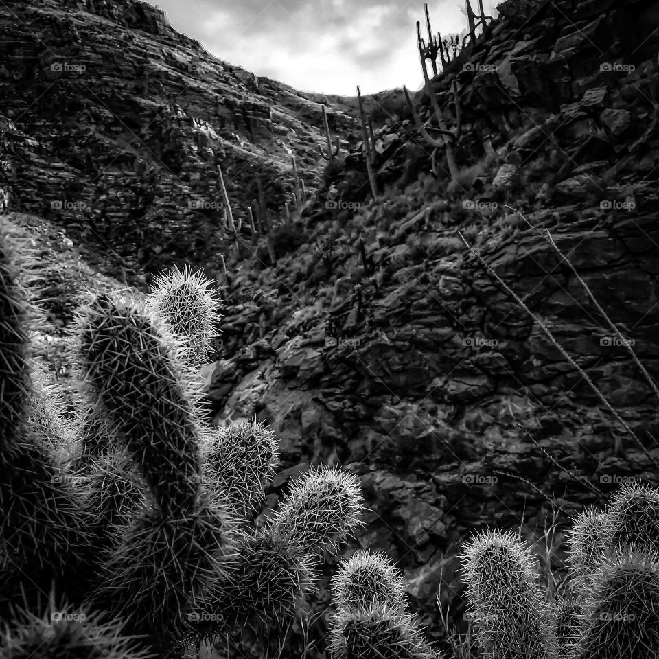 Nature - Desert Mountain Landscape / Black and White