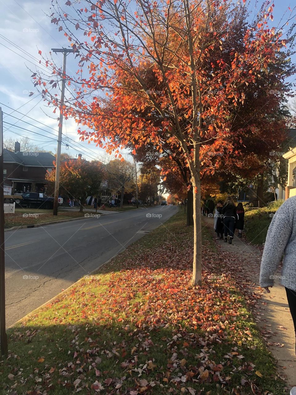 Streets of Ashland Ohio in the fall the small tree and fallen leafs many people lined the sidewalks for Halloween 