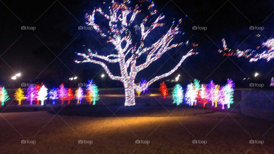 Light, Christmas, Blur, Evening, No Person