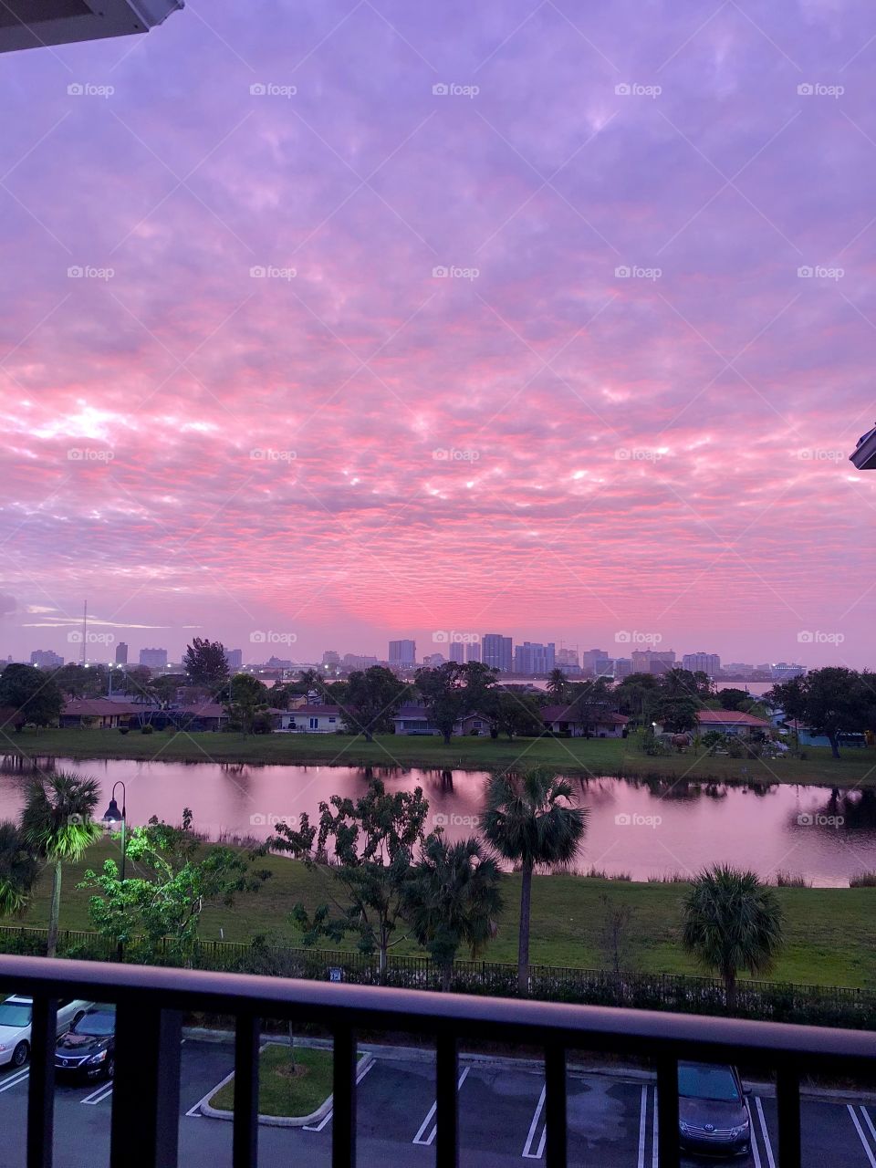 Pink and Purple Palm Beach Sunrise