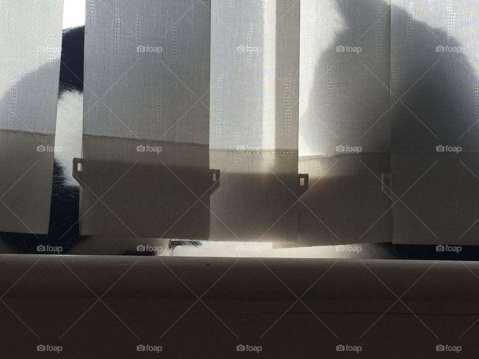 Talking with my shadow