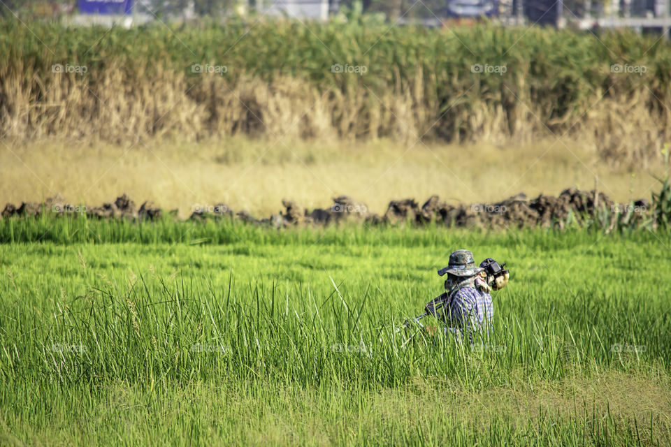 Men use the lawn mower cut grass with height.Men use the lawn mower cut grass with height.