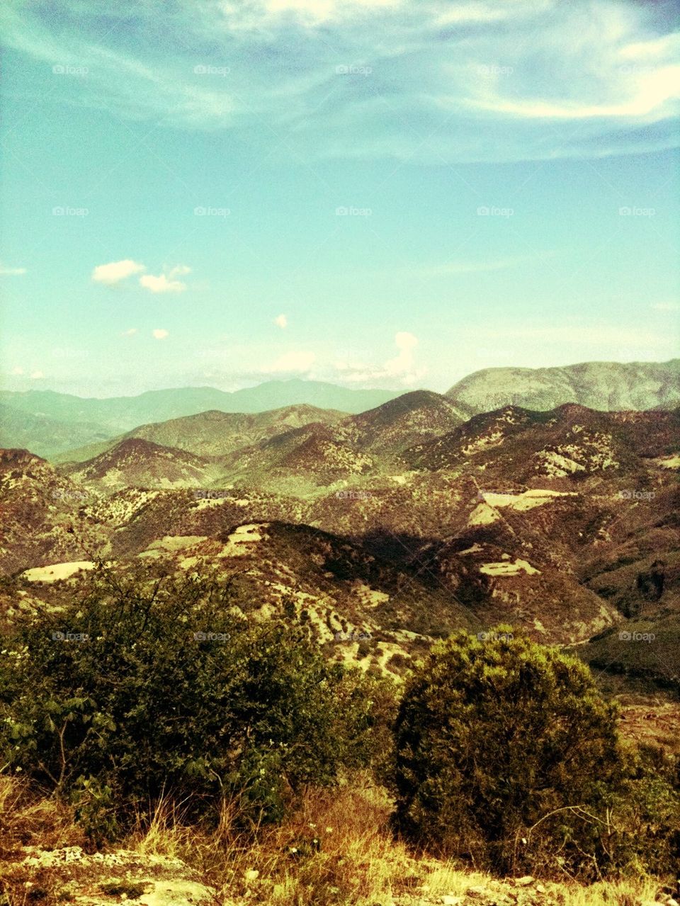 Mexico landscape 