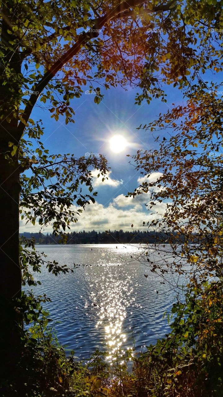 Beautiful natural light coming from the sun with its reflection on the water with the scene framed by the surrounding foliage.