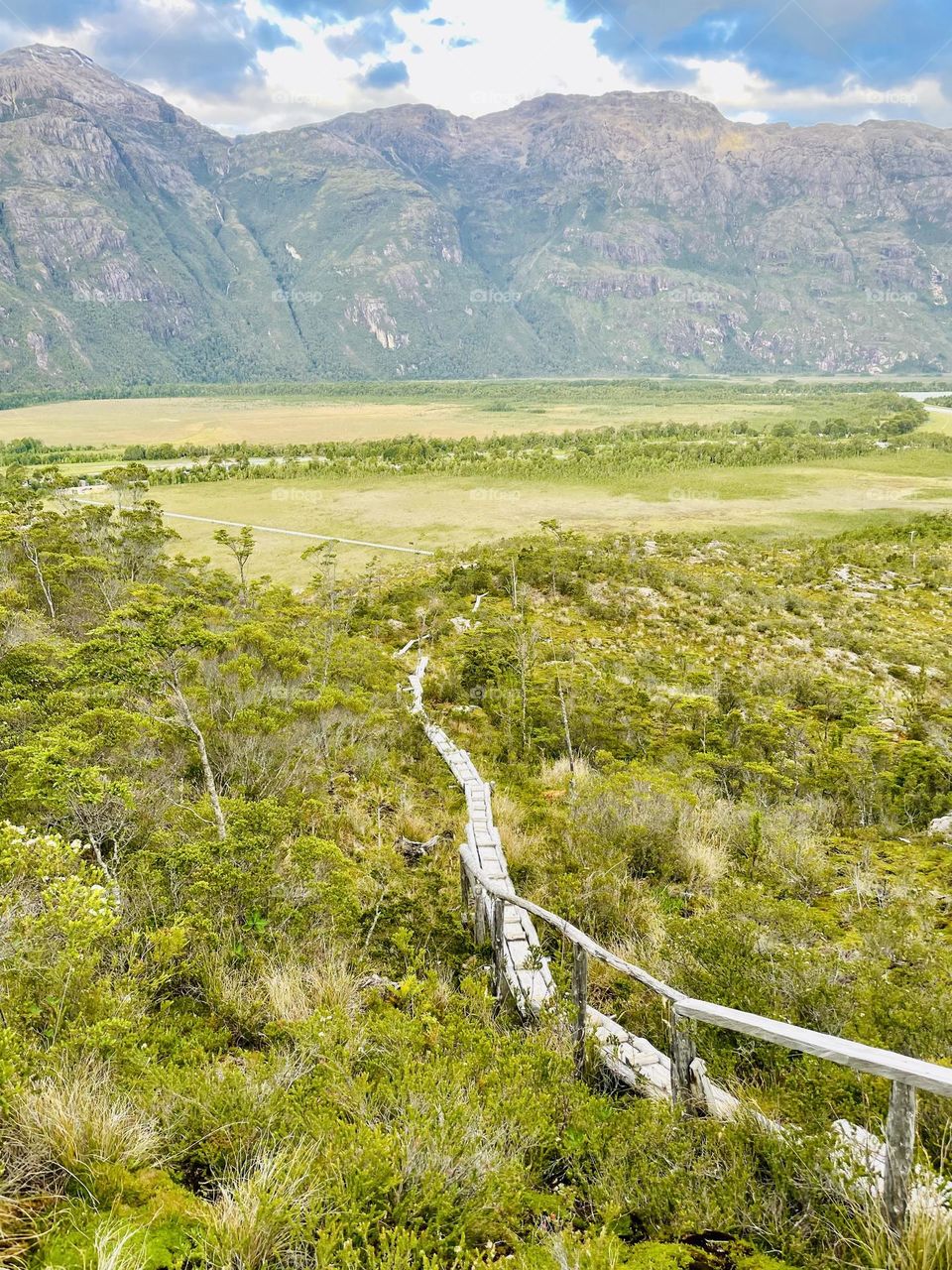 Sendero Cerro Vigía Caleta Tortel