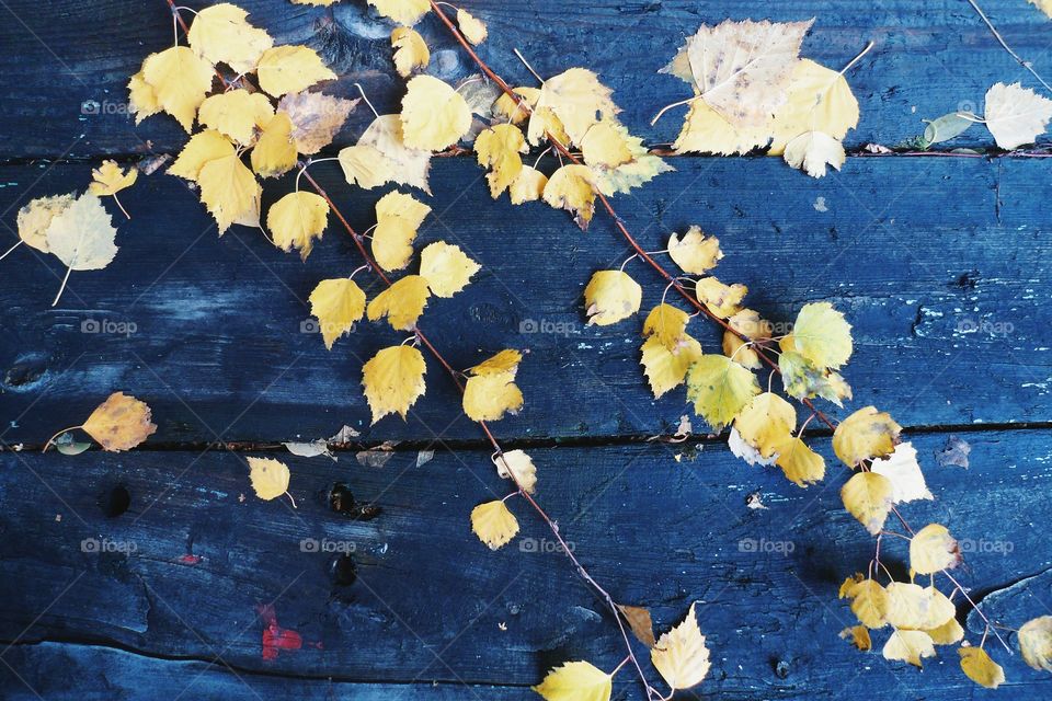 on a wooden table old autumn leaves