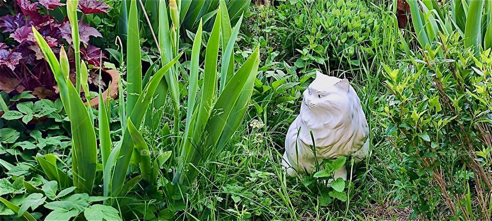This large porcelain cat is a sculpture placed to adorn an already beautiful garden in rural “Lower Bavaria”, Germany. The people who live in the adjacent house are cat lovers, obviously. 2024. Hypnotic Productions