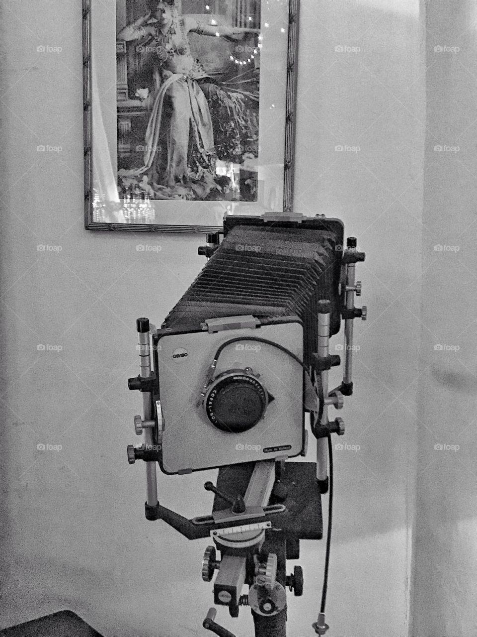 Large format Camera