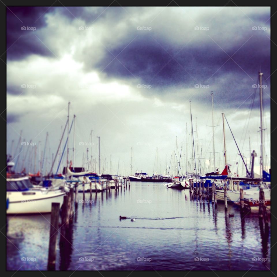 Sommer ved havnen . Sommer ved Dragørhavn 