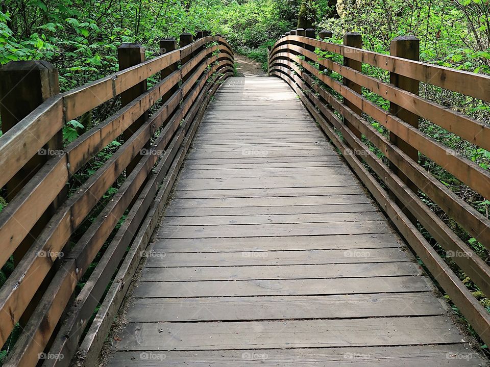 A wooden footbridge crosses a creek in the lush green forests of Western Oregon on a sunny spring day. 