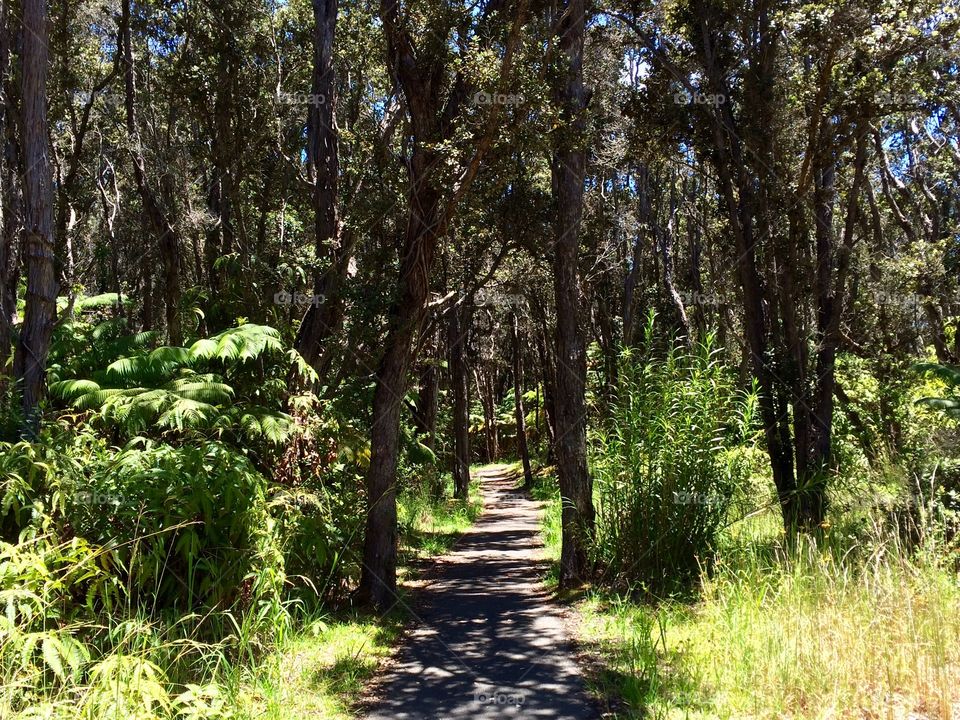 Sunny day in a forest!!!