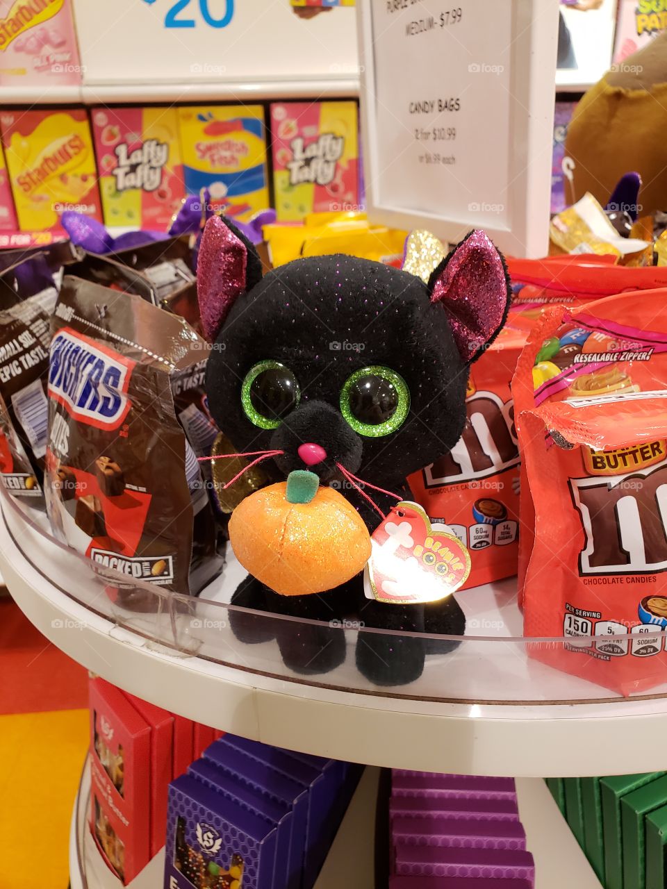 Halloween candy display black cat and pumpkin