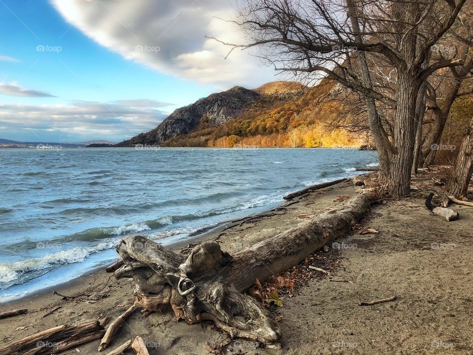 Fall on the valley floor