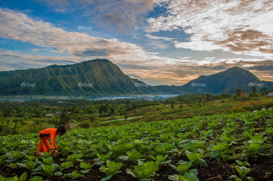 beautyfull village from lombok Islan, east Lombok, Sembalun