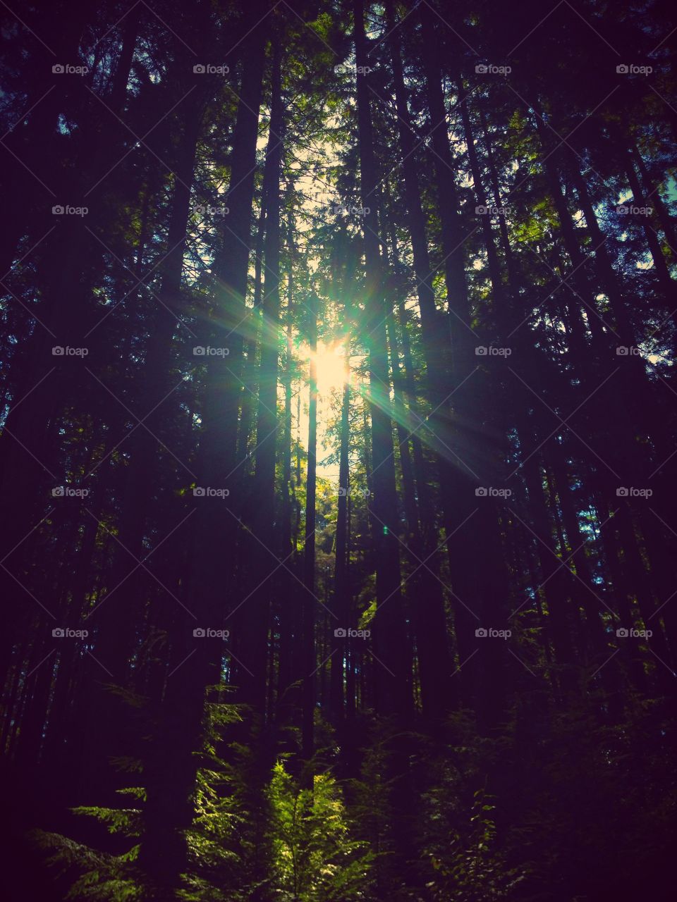 "We do not remember days, we remember moments."