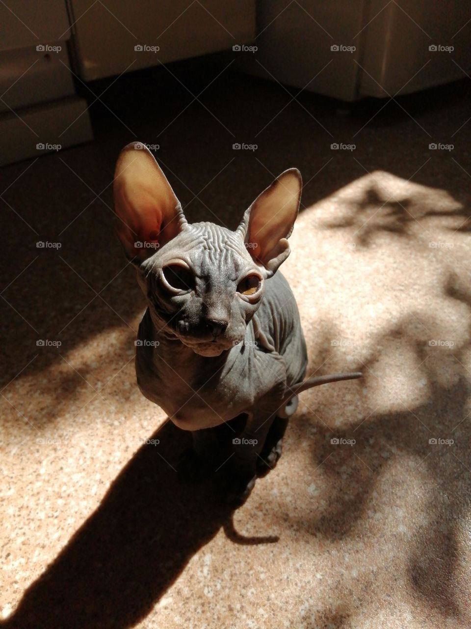 The look of kindness