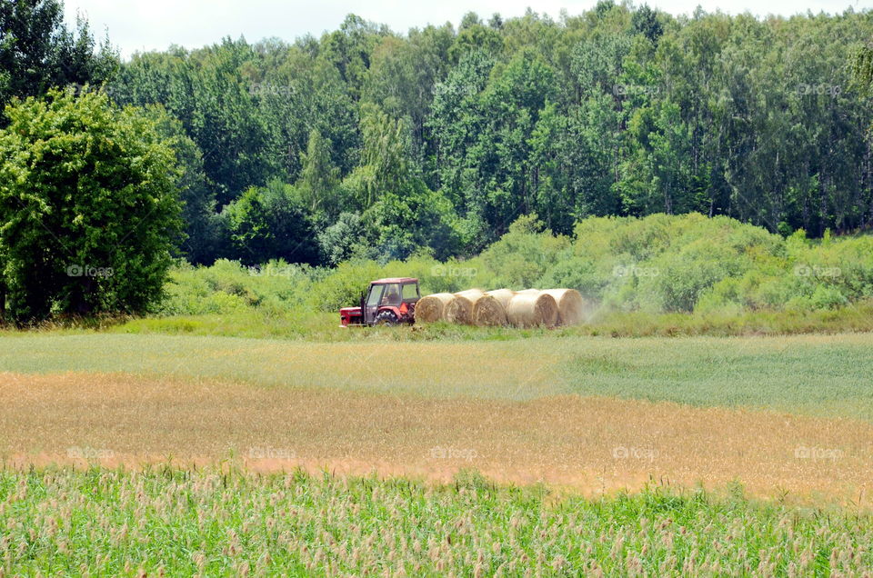 Landscape of Mazurian region in Poland