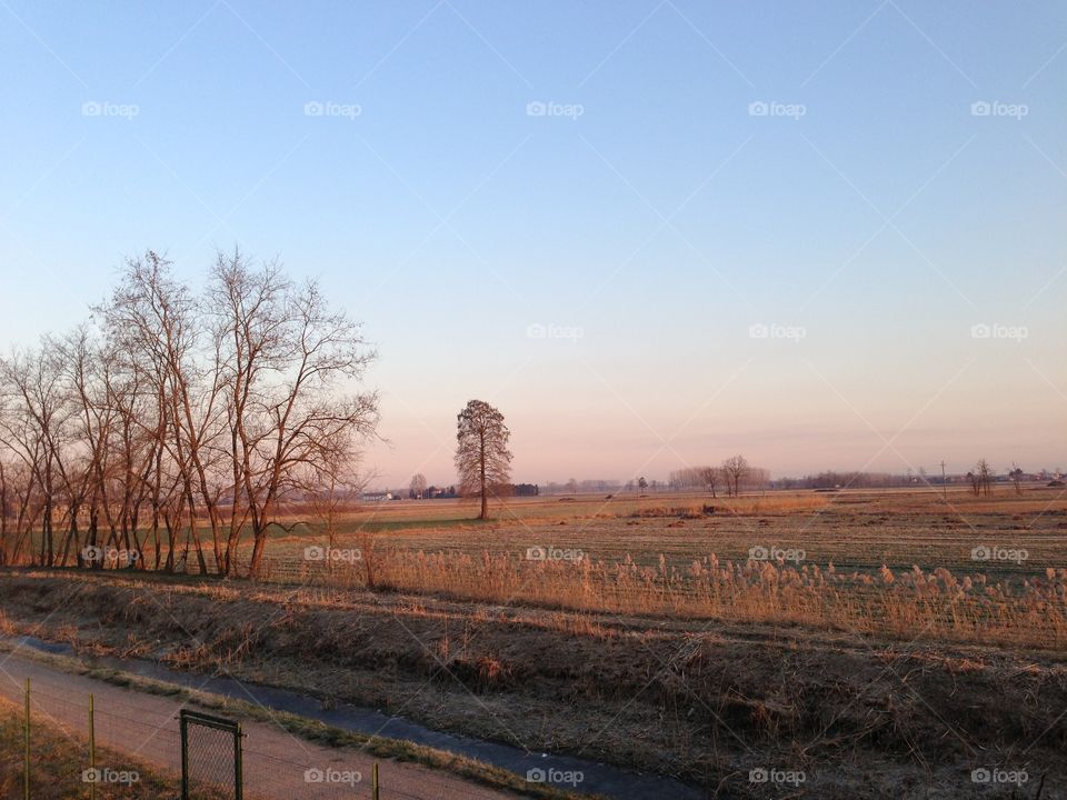Countryside at sunset 