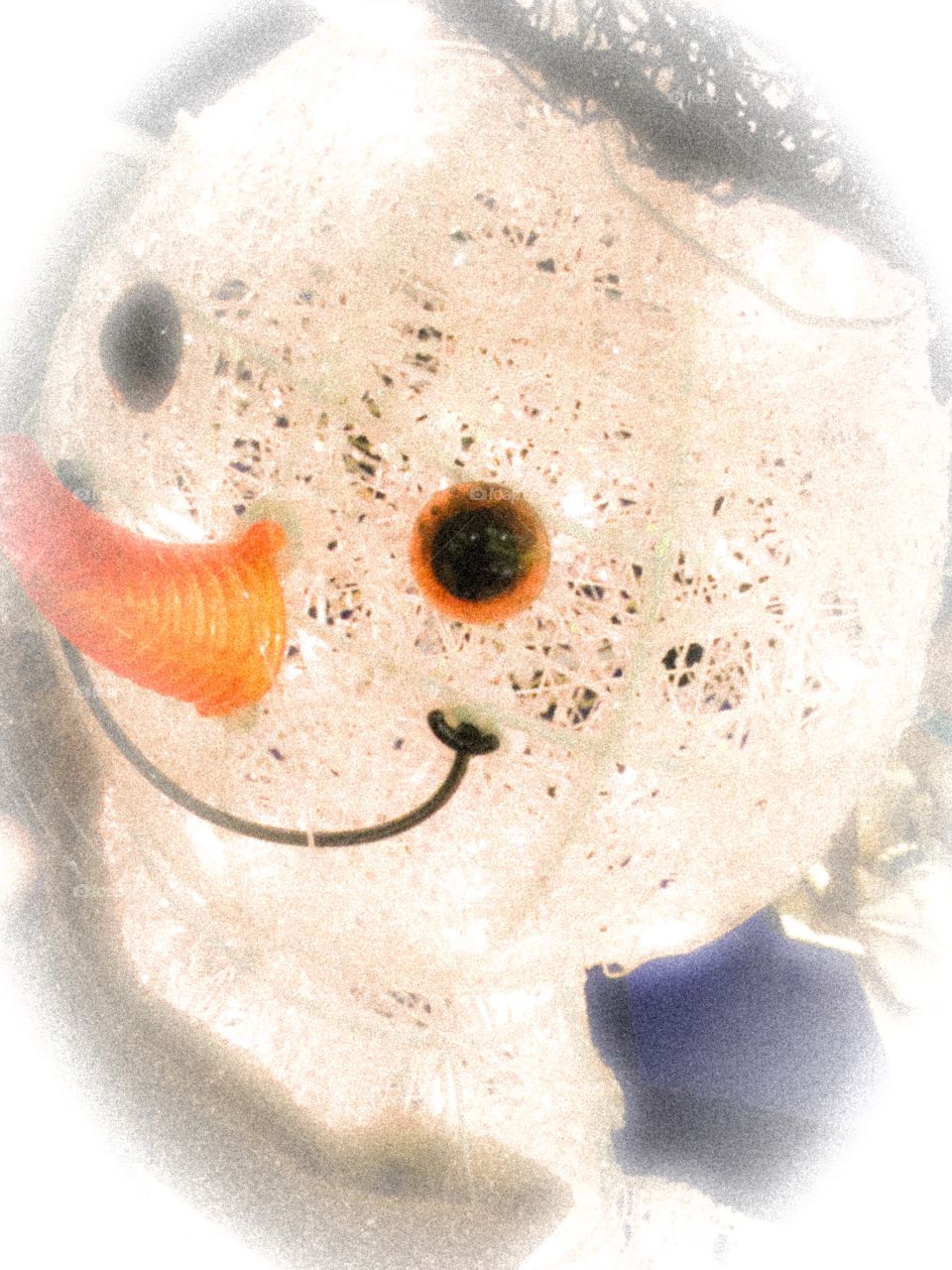 Frosty closeup 