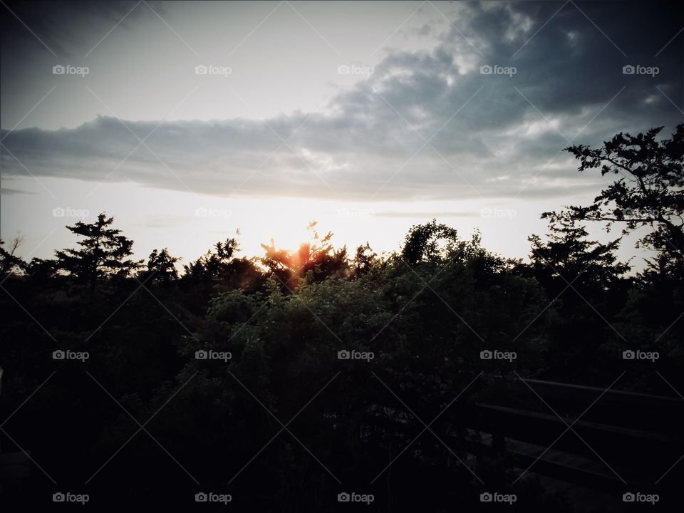 New York, Long Island, Fire Island, Nature, tree, plants, outdoors, calm, relax, shades, colors, Clouds, sky, path, view, sunset, 