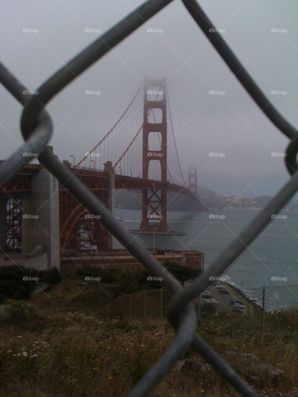 California love. My favorite view of the Golden Gate Bridge through persistent fog.
