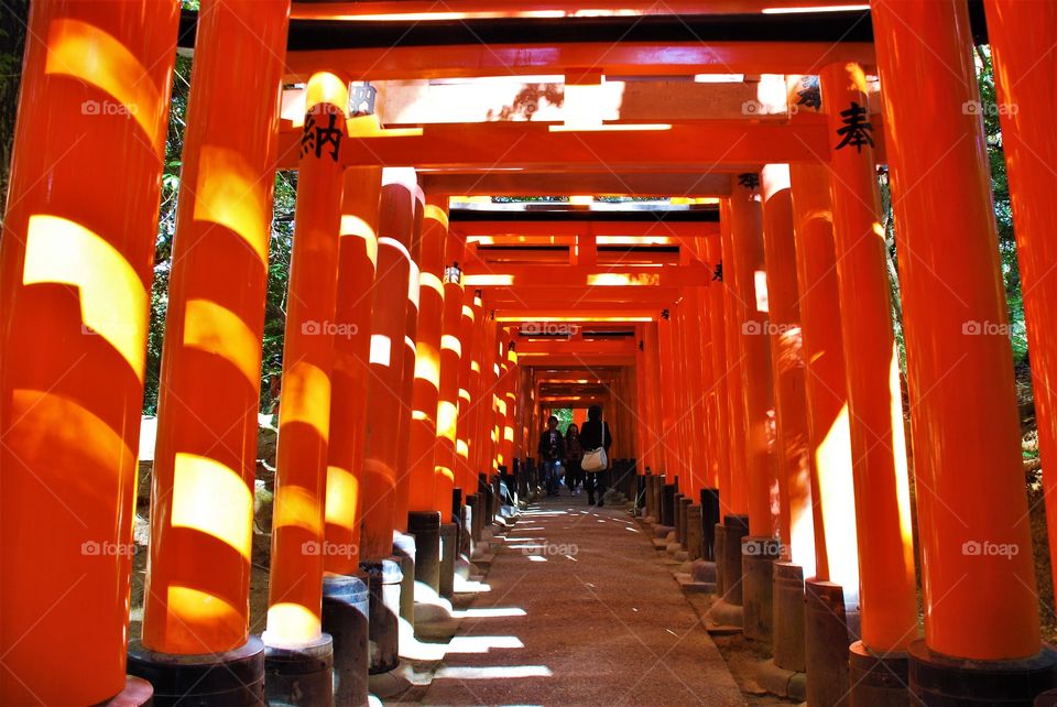 The Torii Gates, Kyoto