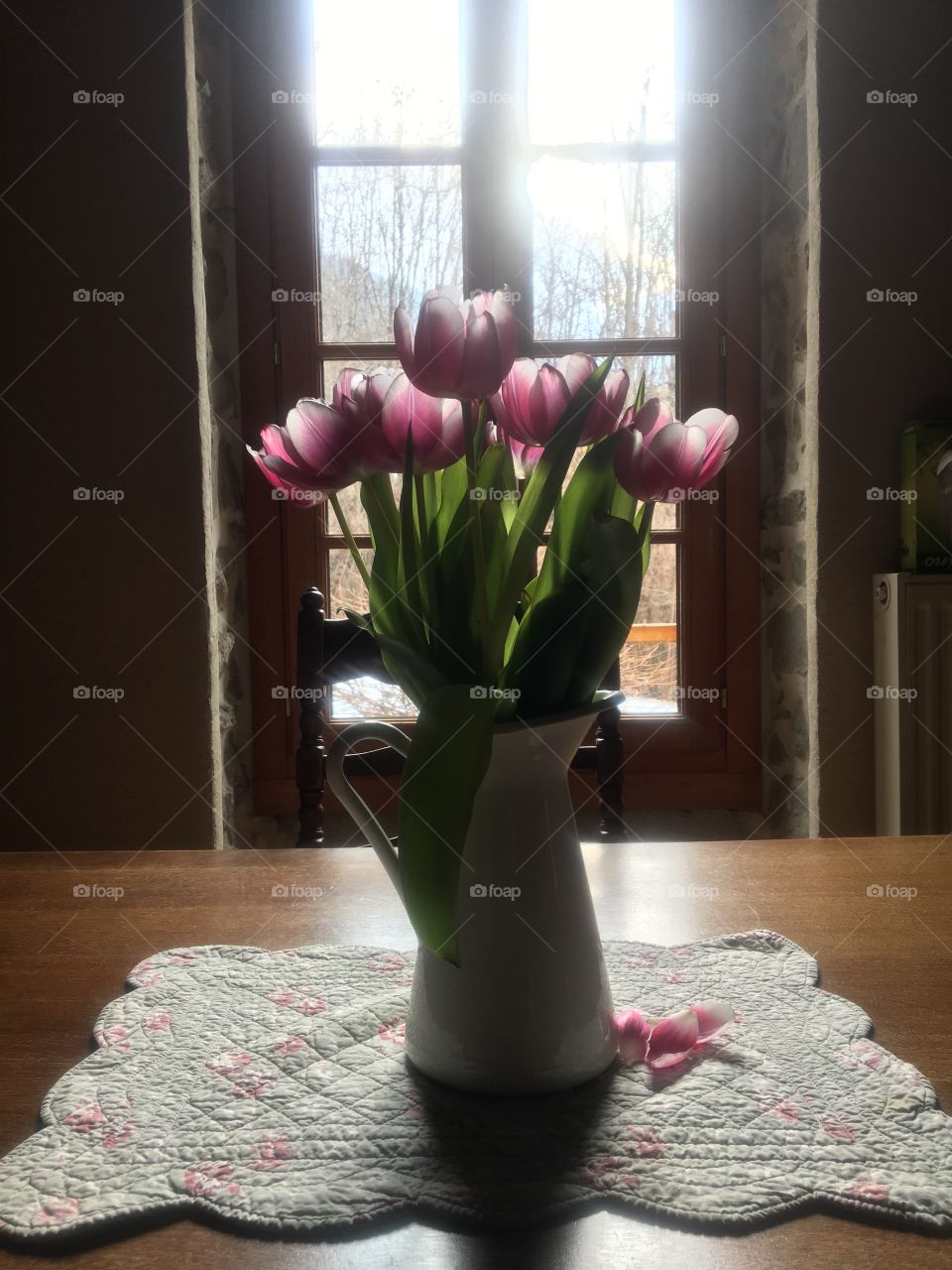 Spring Tulips