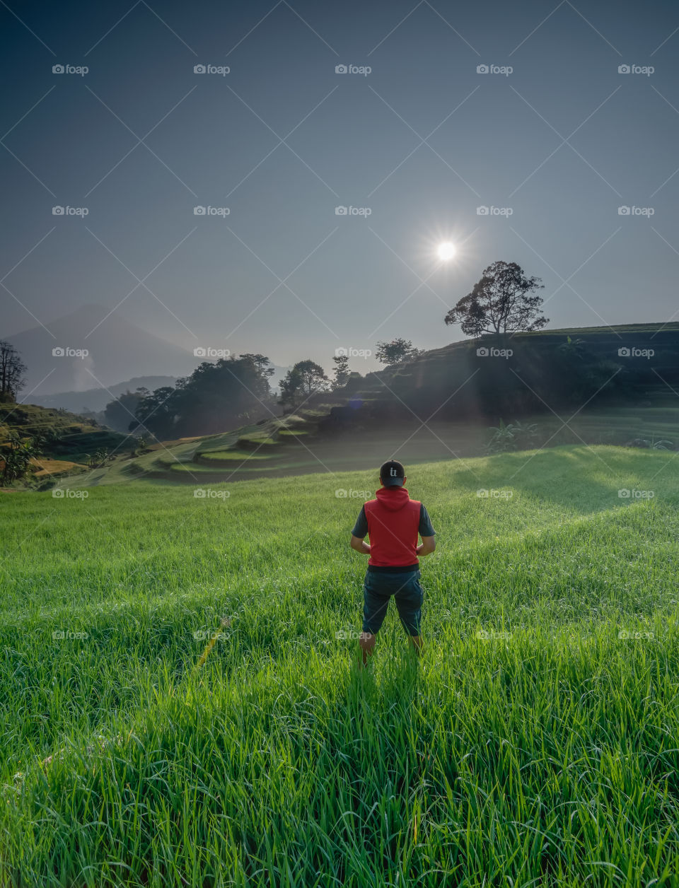 enjoy the beautiful morning in selotapak rice terraces