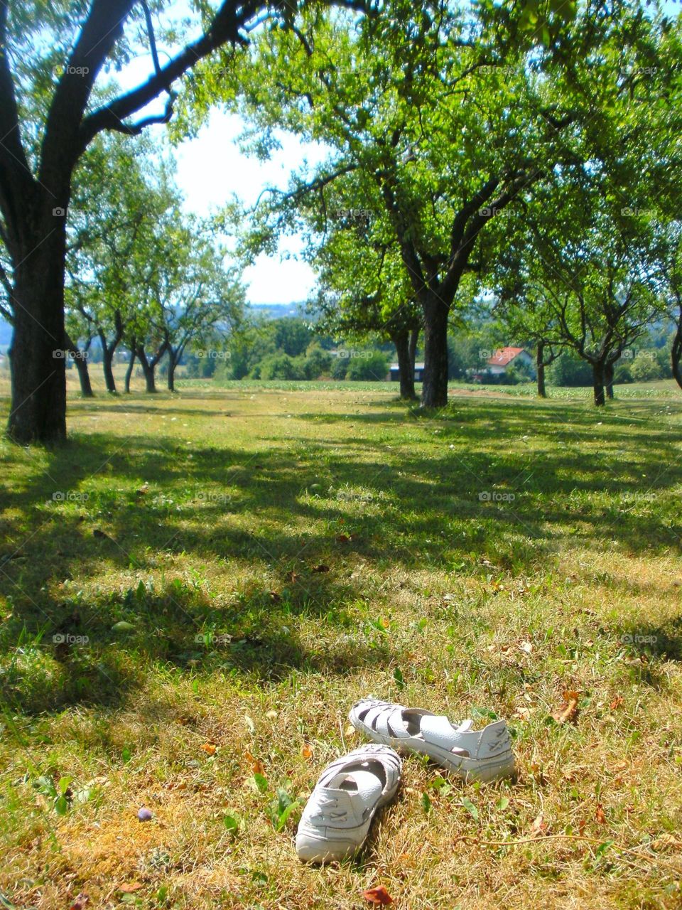 Stegersbach, Appletree garden