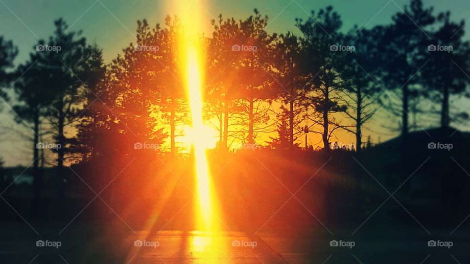 Beautiful sunset with the rays shining through the trees