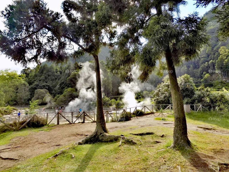 Furnas (São Miguel, Açores)