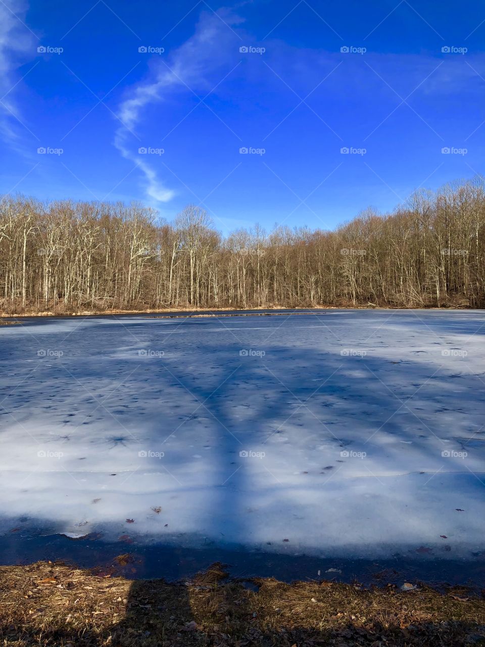 My favorite pic look a the reflection of the  ENORMOUS tree on the ice 