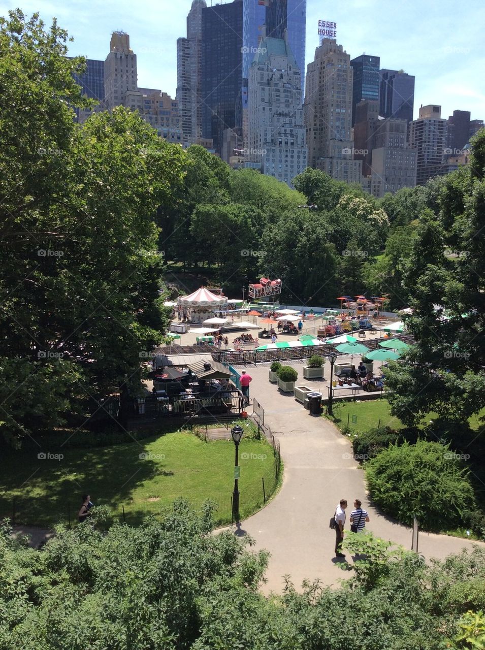 Central Park in Summer