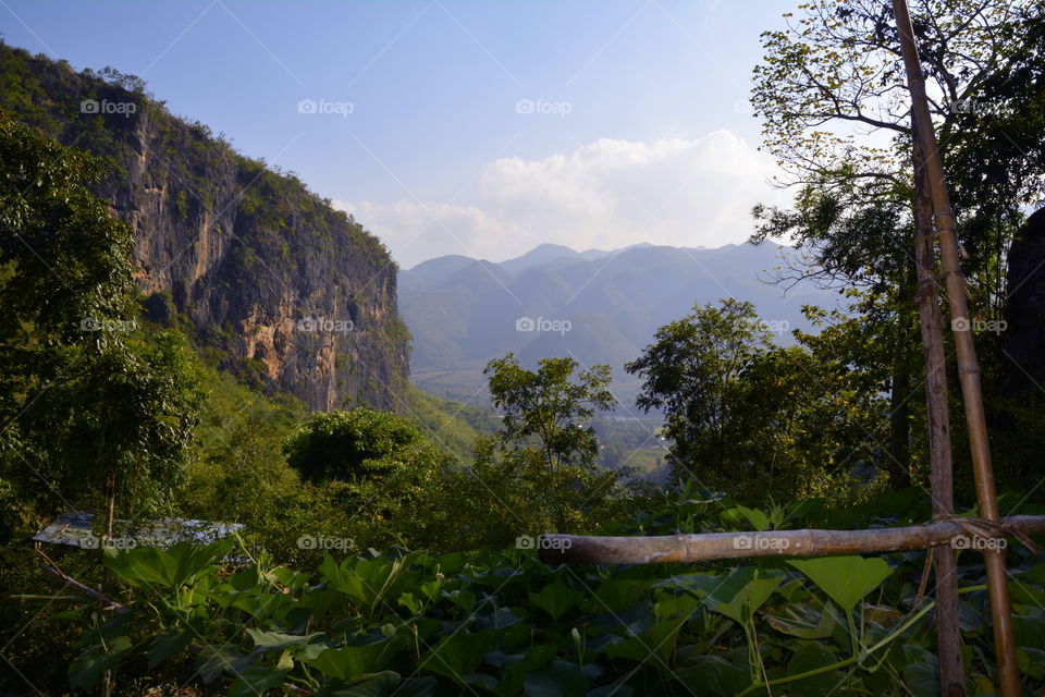 Forest in the mountain in Shan State, Burma