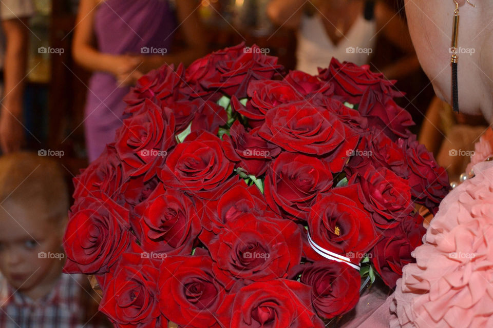 flower red love roses by lanocheloca