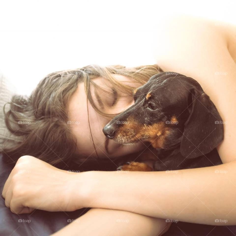 Gorgeous Daschund and girl snuggle for warmth and comfort in the morning 
