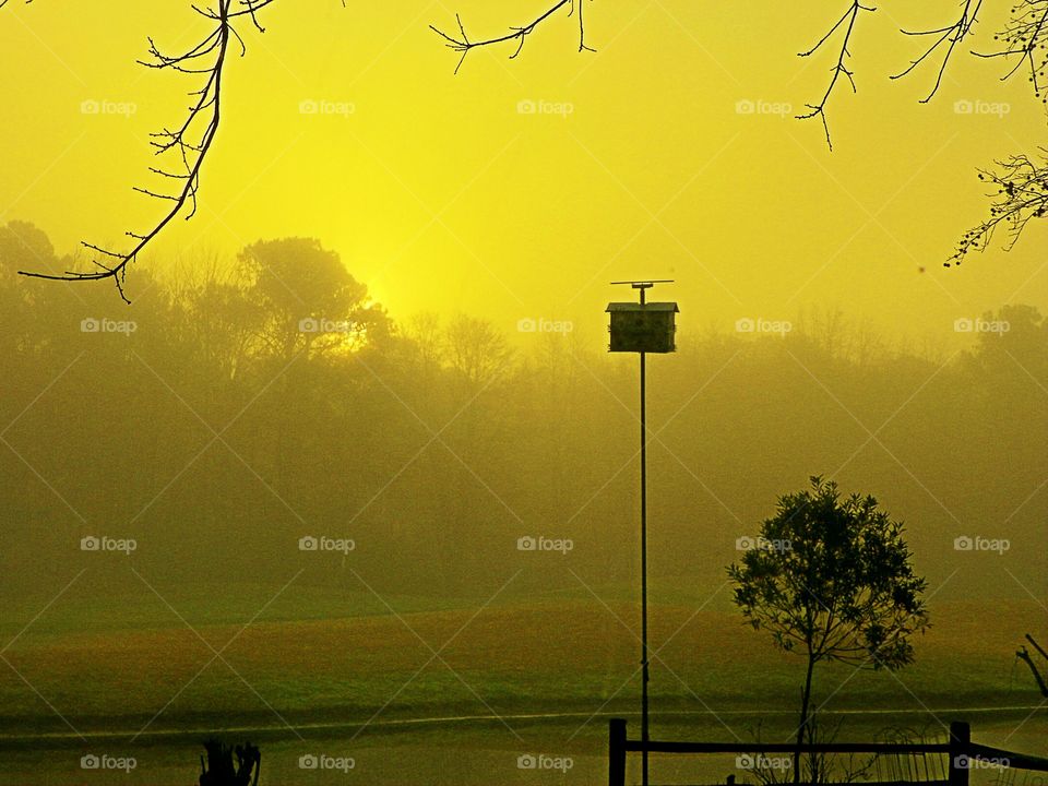 Foggy Morning 