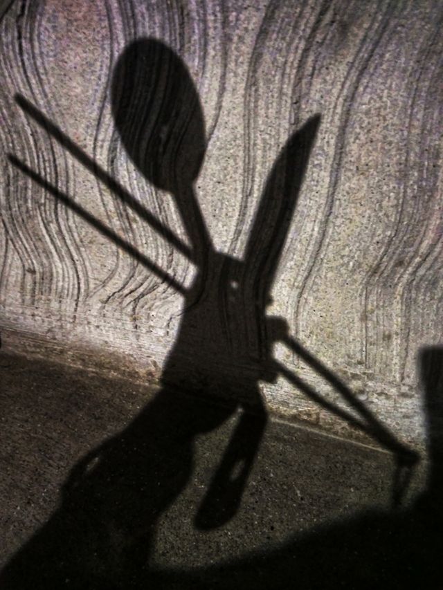 Looking for Shadows