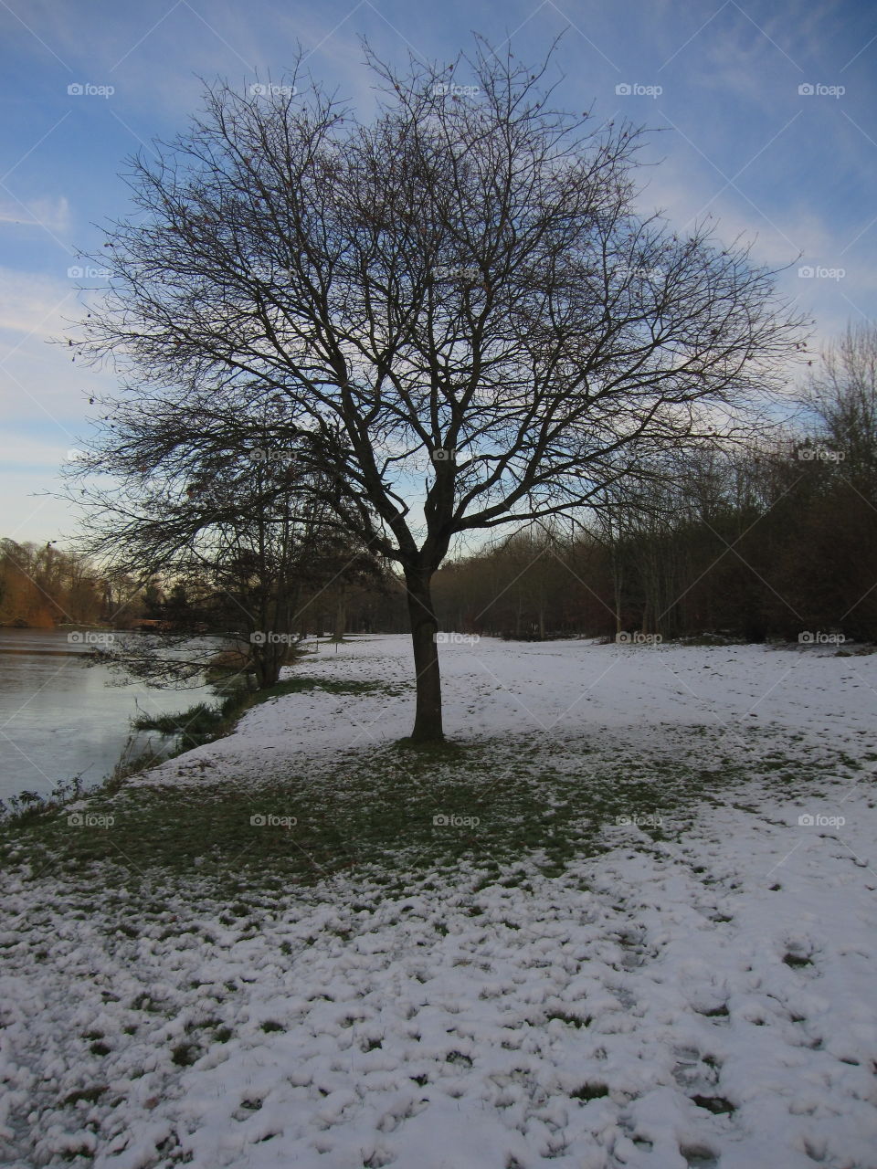 Winter, Landscape, Snow, Tree, No Person