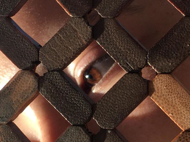 Eye
