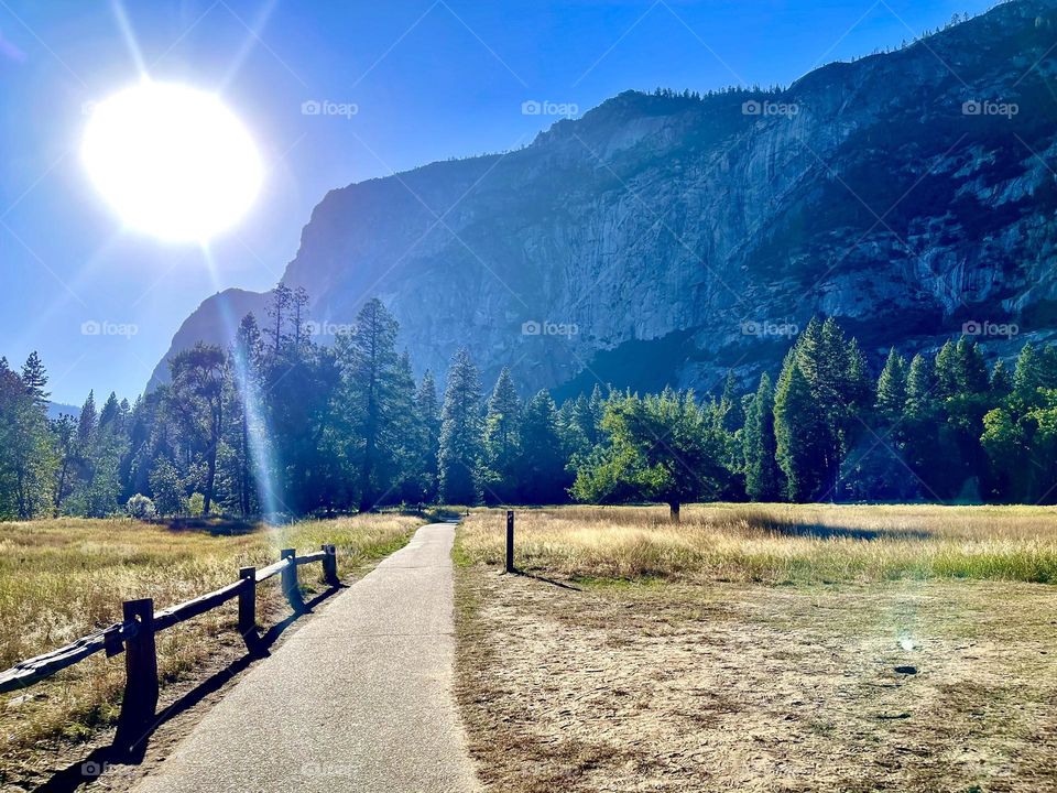 calmness under the sun - trail going to Lower Yosemite Falls