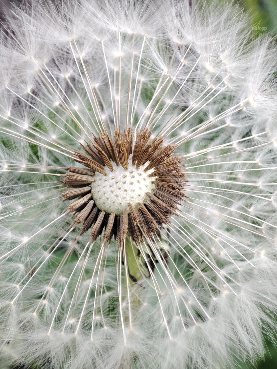 Beautiful without filters