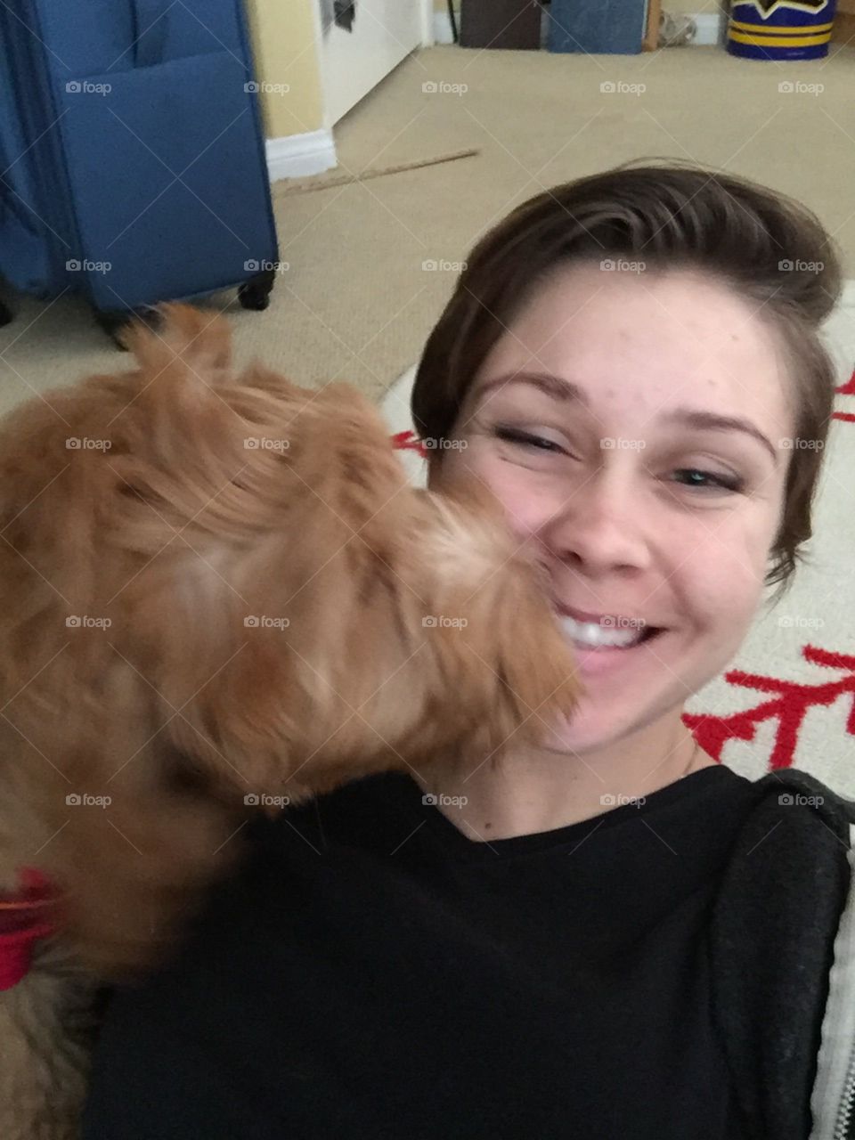 Dog Kisses