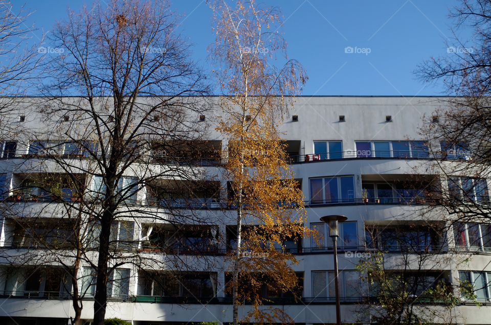 Building exterior with trees against sky in Berlin, Germany.